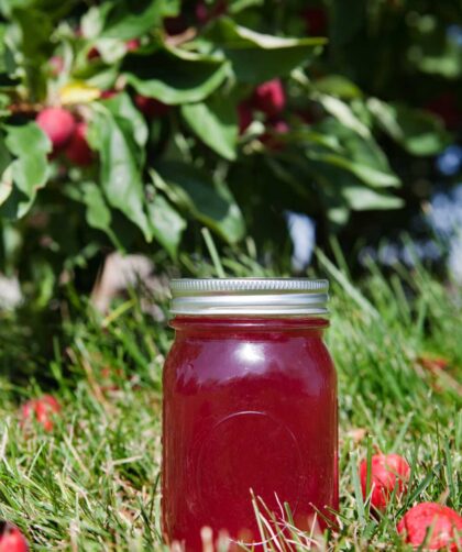 Delia Smith Crab Apple Jelly