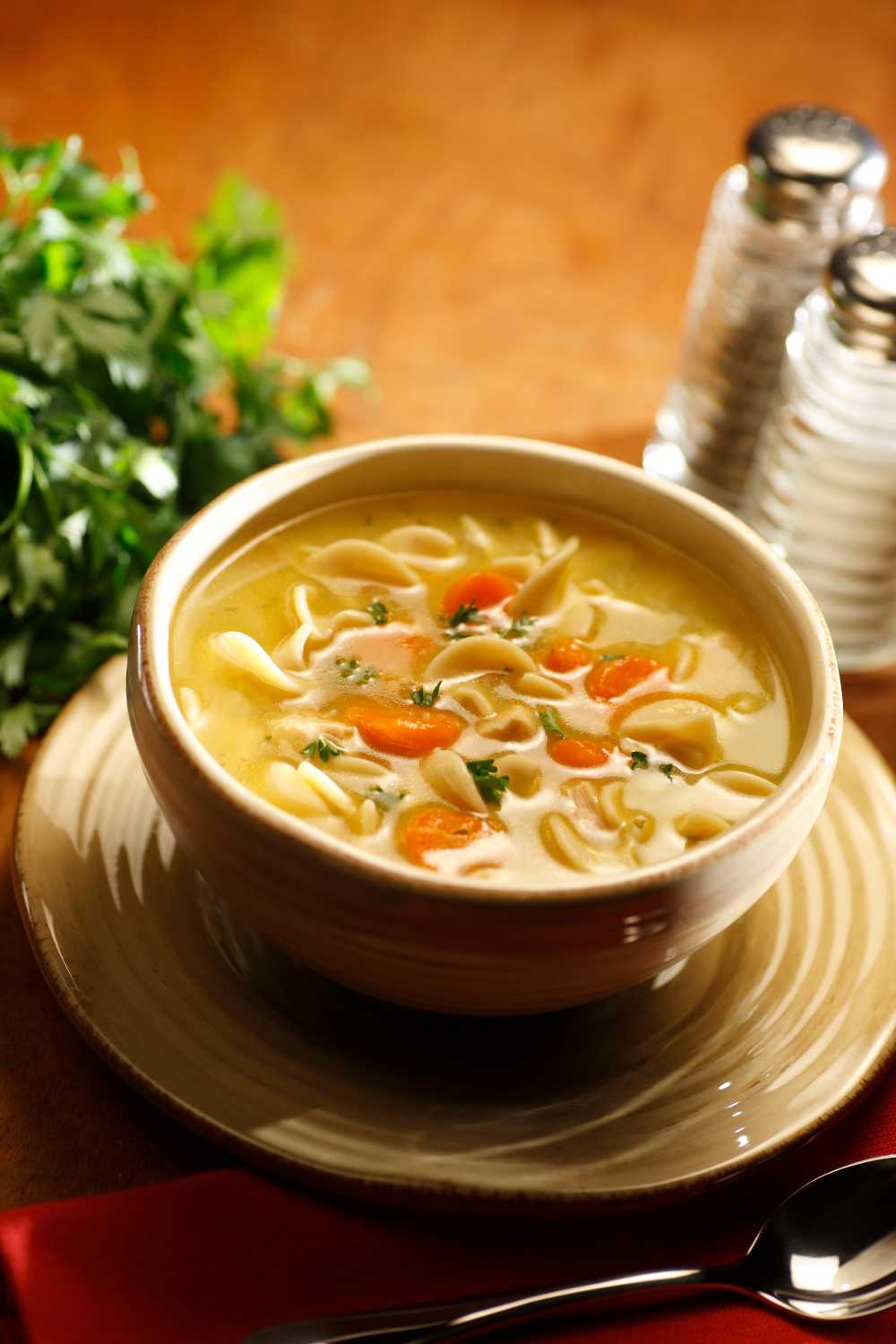 Mary Berry Chicken Noodle Soup