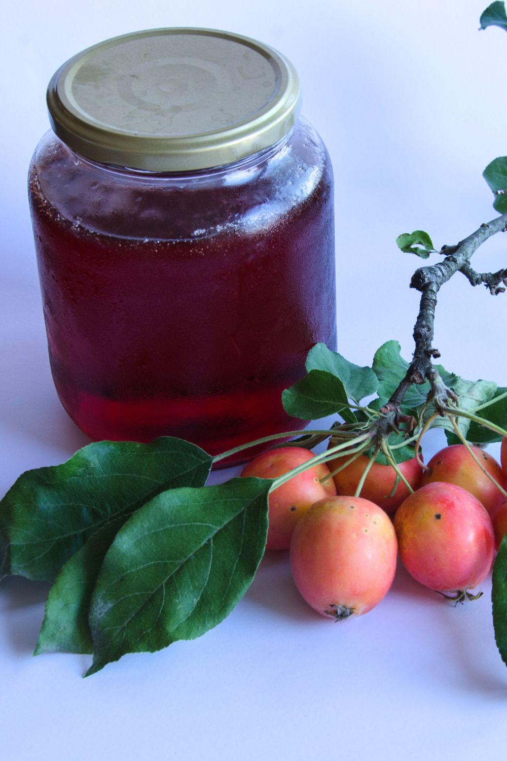 Delia Smith Crab Apple Jelly