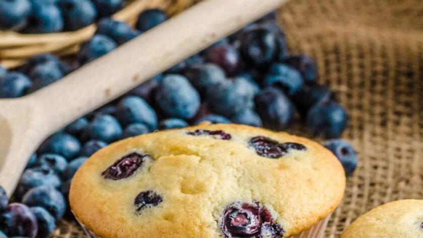 Nigella Blueberry Muffins
