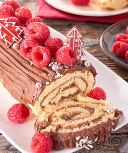 Delia Smith Squidgy Chocolate Log