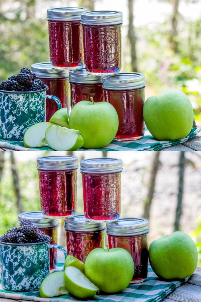 Delia Smith Blackberry And Apple Jam