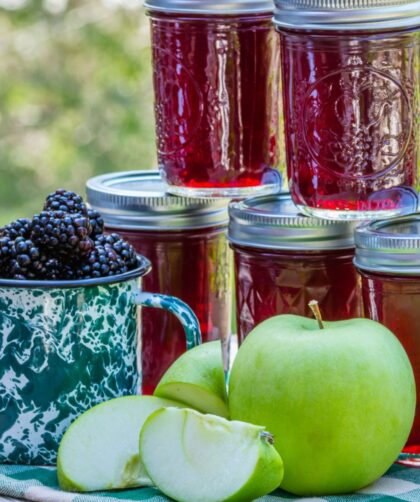 Delia Smith Blackberry And Apple Jam