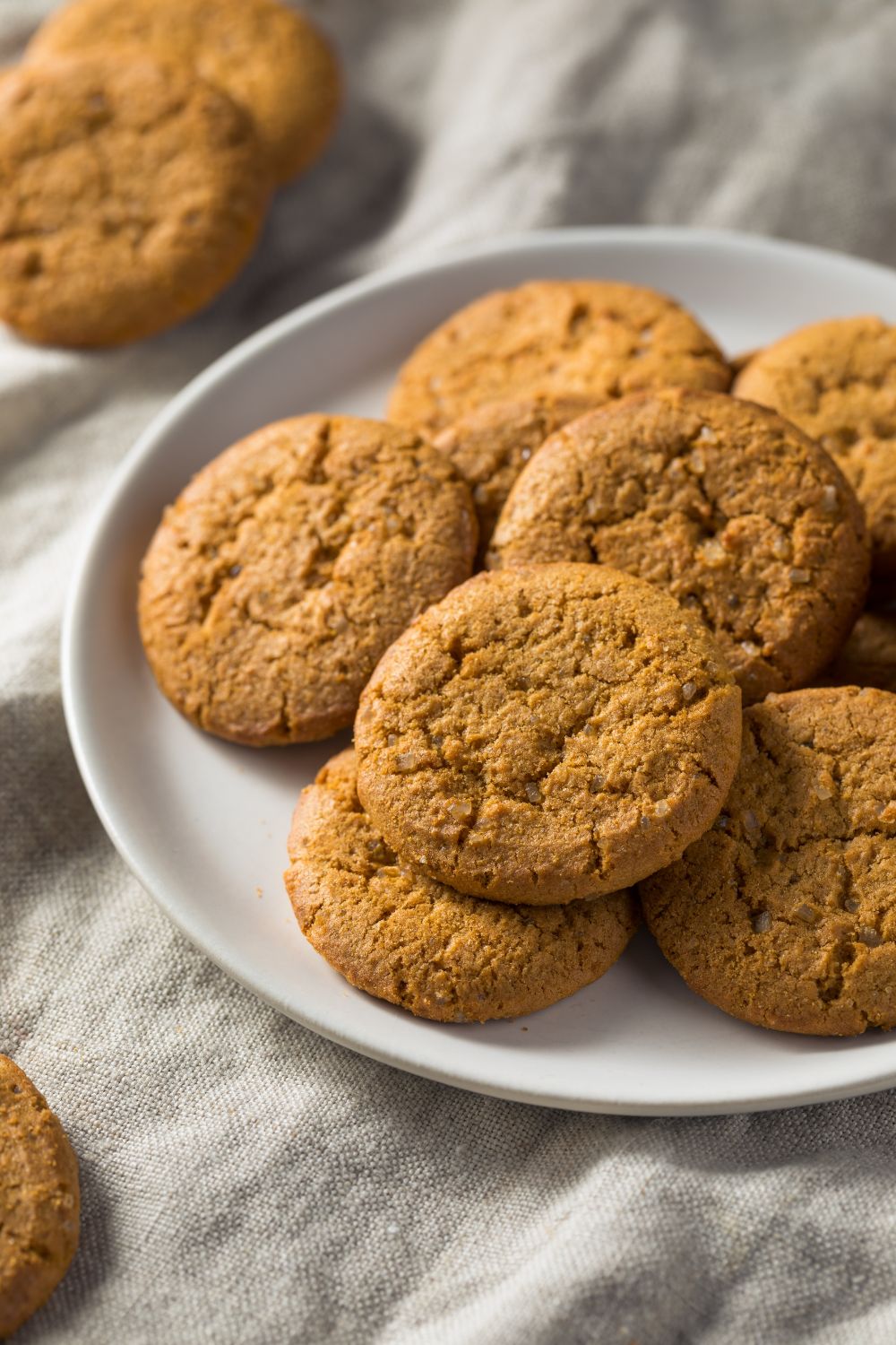 Delia Smith Ginger Biscuits