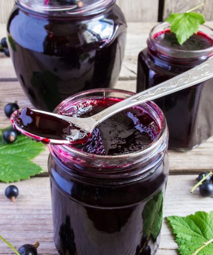 Mary Berry Blackcurrant Jam Recipe