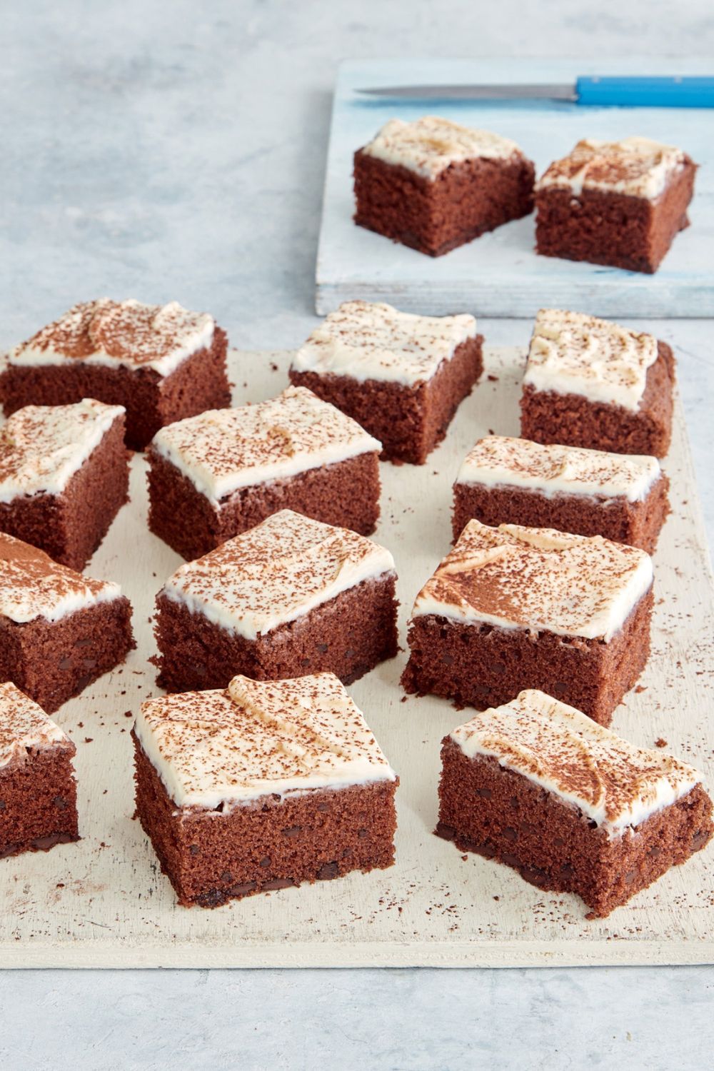 Mary Berry Chocolate Chip Cake