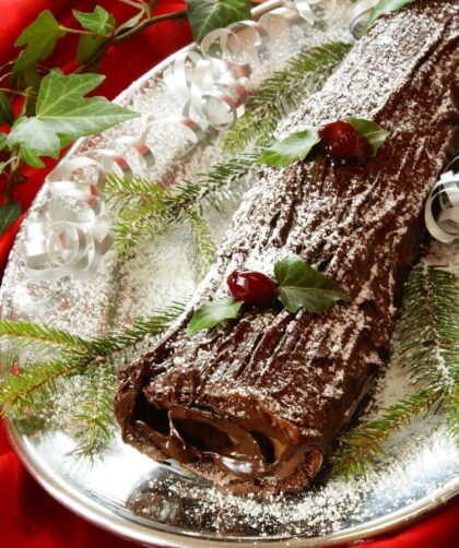 Delia Smith Christmas Log