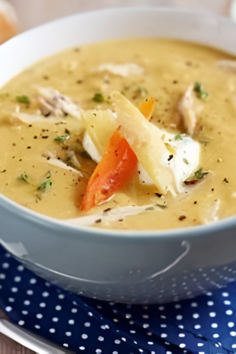 Chicken And Veg Soup Recipe UK​