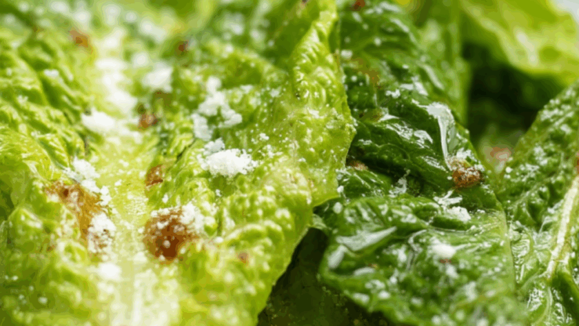 Jamie Oliver​ Caesar Salad Dressing